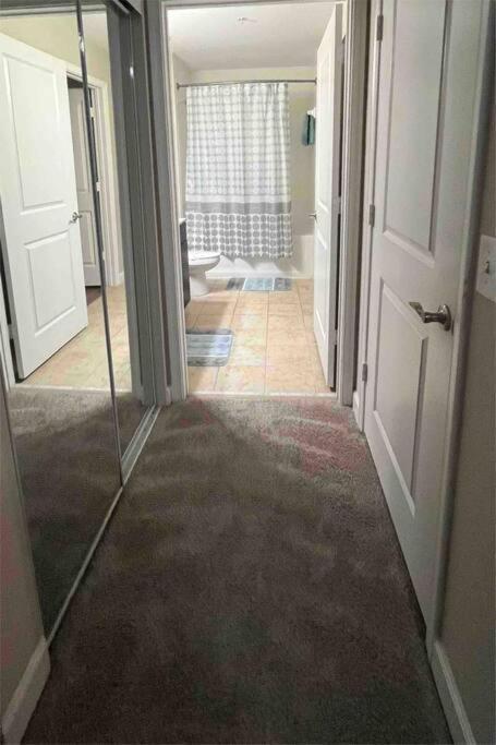 Blooming Journey In Tampa Bay! Apartamento Exterior foto